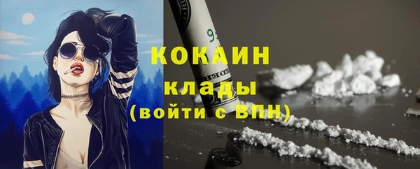 ешки Ельня