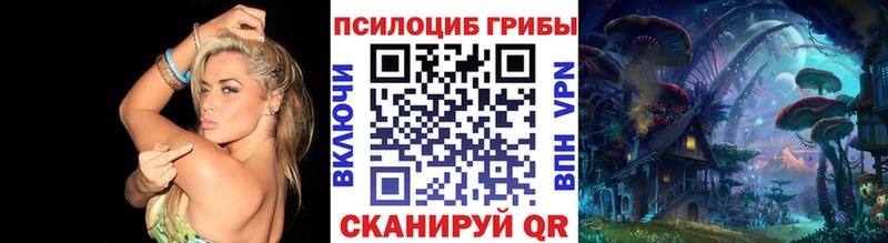 Псилоцибиновые грибы мицелий  Купить  Сольцы 